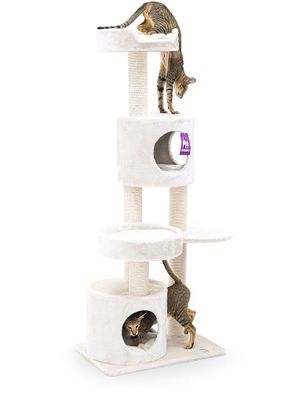 tenant-sync-2oAQBouyzP1wn4E1766484931