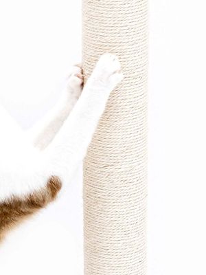 Klöspelare Maine 90