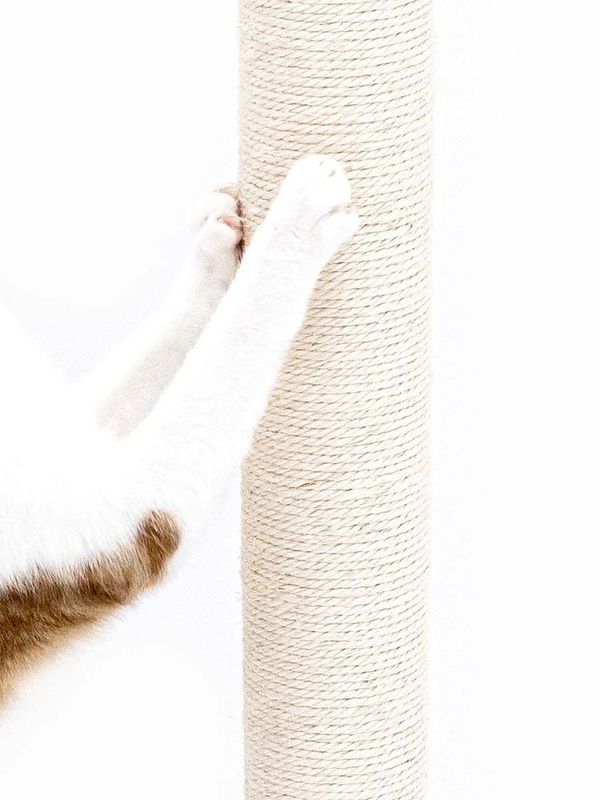 Klöspelare Maine 90