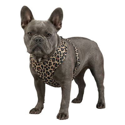 WAUDOG Mesh Hundsele Leopard