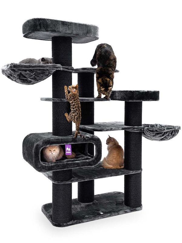 PetRebels Klösträd Bengal 199
