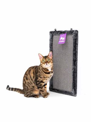 tenant-sync-465bHICDZ0DxUMW1767083317