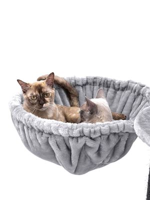 Klösträd Catharina 160