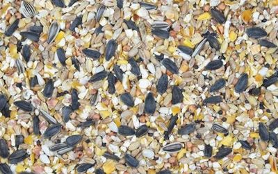 tenant-sync-4PMvxVJ81YD2l731764326262