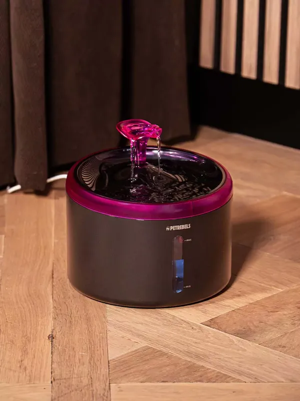 SPRING 20 Vattenfontän för katter 2,5l Black