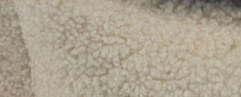 CAZO Hundbädd Oval Mirson Beige