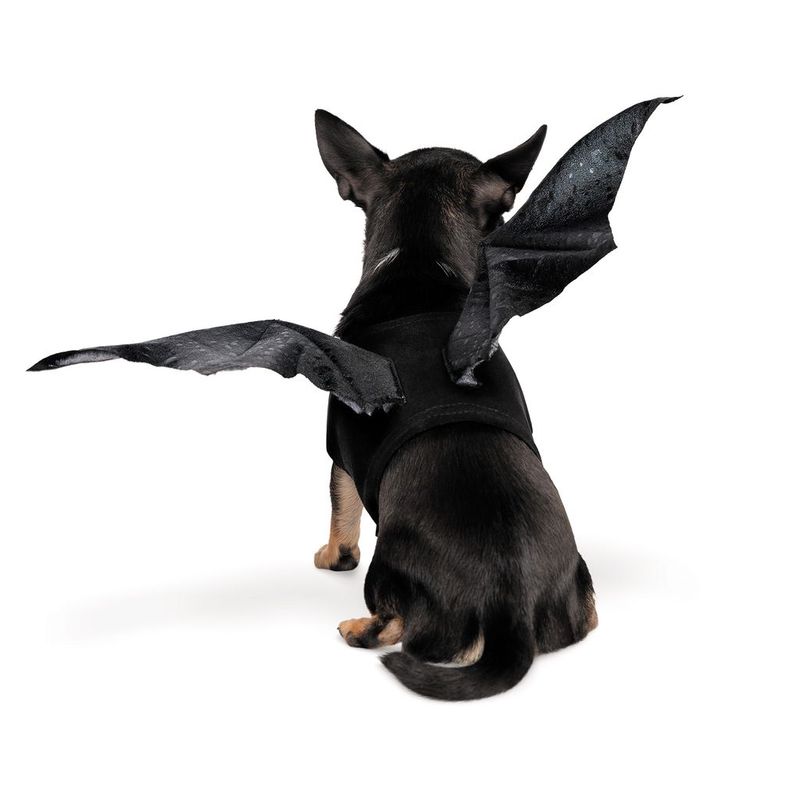 Fladdermusvingar till Hund