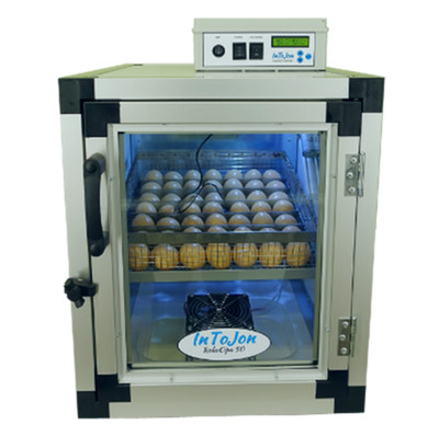 Äggkorg till RoboCipa äggkläckare