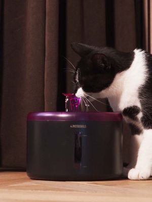 SPRING 20 Vattenfontän för katter 2,5l