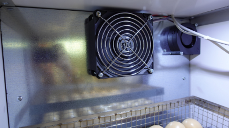 Äggkläckare RoboCipa 50 Automatisk Fukt & Temperaturkontroll