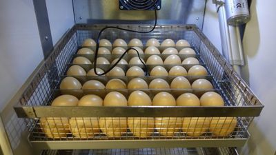 tenant-sync-8fqvT6BEYWRgGxA1764326446