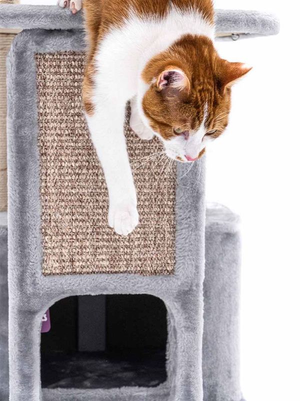 Klösträd Little Rock 99