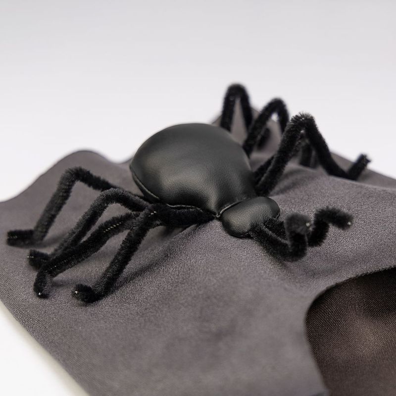 Spindelben till Hund