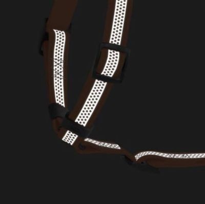 tenant-sync-Dl1Xz8zS3Lmlhni1764327511