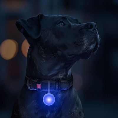 WAUDOG RGB LED lampa för hundhalsband