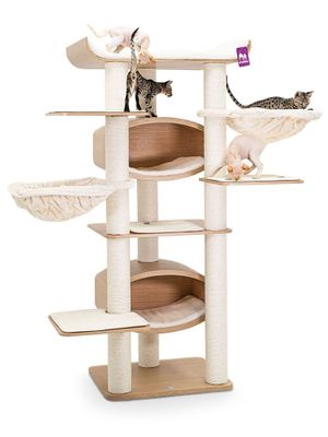 tenant-sync-DqjGN6icKhlpb7G1766403465