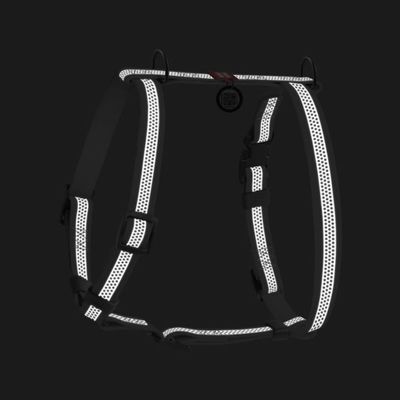 tenant-sync-Ek3RFfpmFcnDhvG1764327508