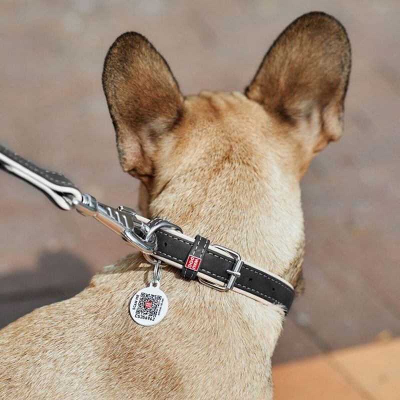 WAUDOG Soft Läderhalsband med Smart-ID Bricka, Svart