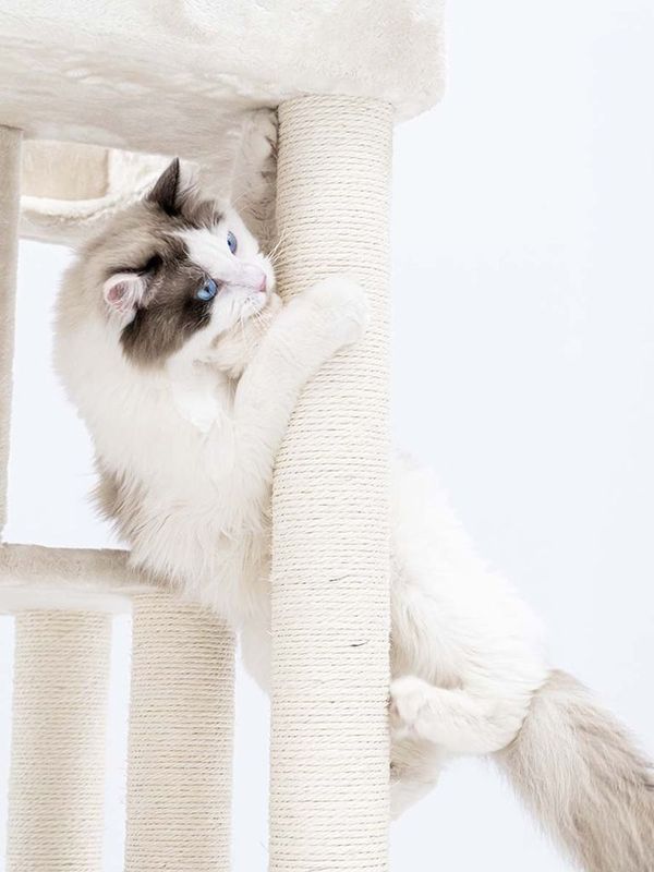 Klösträd Lodge 107