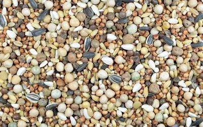 Oxéna Duvblandning Majs & Vetefritt Brevduva 14kg