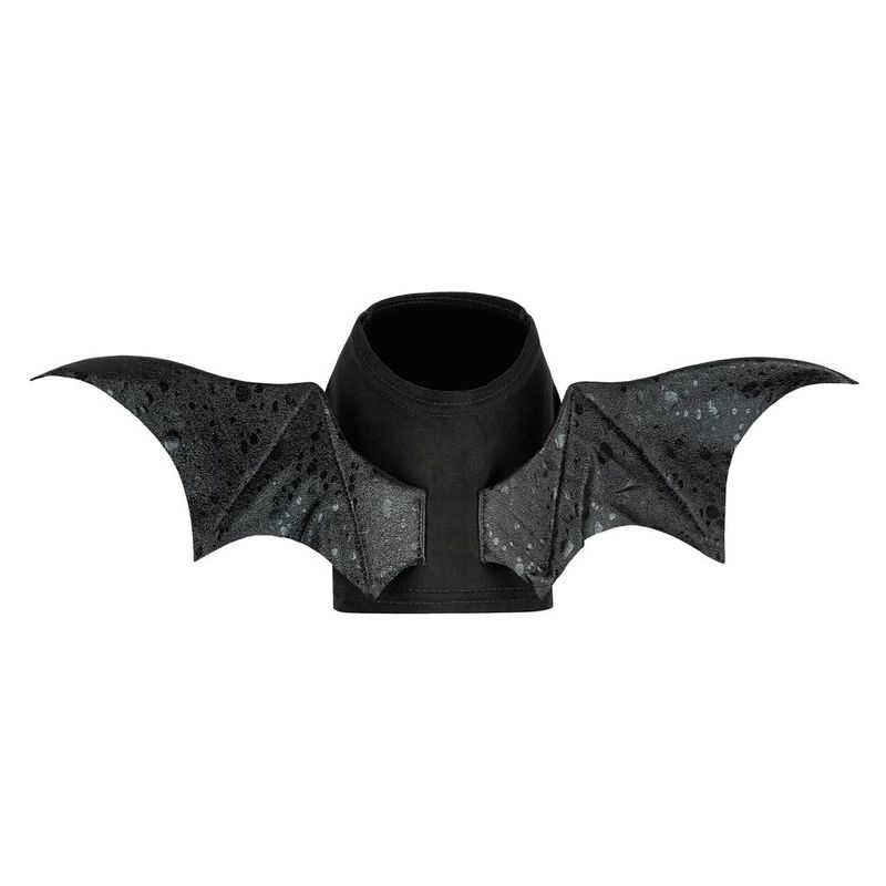 Fladdermusvingar till Hund