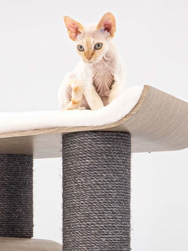 Klösträd Virgo 200