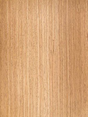 Kattbädd Kattgrotta Hercules 60