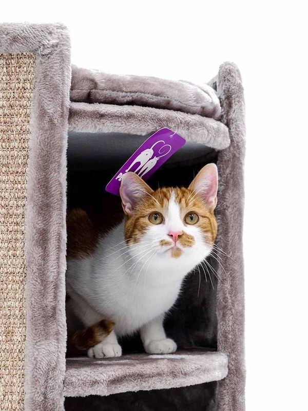 Klöstunna Superdome 100