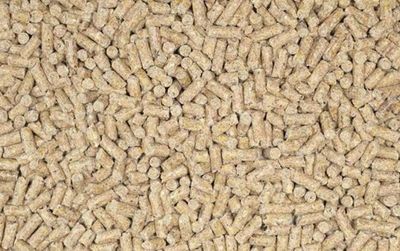 tenant-sync-LJ9782mdMa2gKsT1764326265