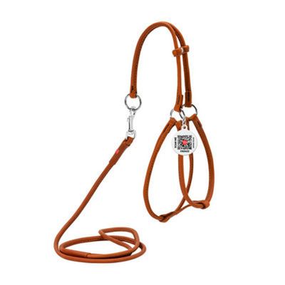 tenant-sync-LTSPyB6hcnWgw2J1765463735