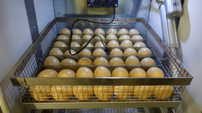 tenant-sync-LbJM1tjYfAcosJ51767092944