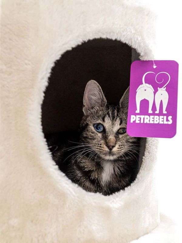 Klösträd Charlotte 134