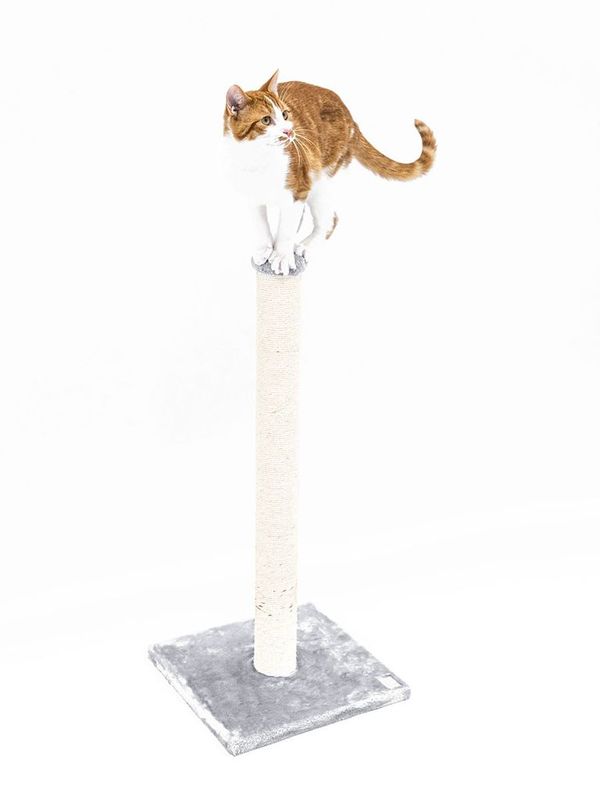 Klöspelare Maine 90