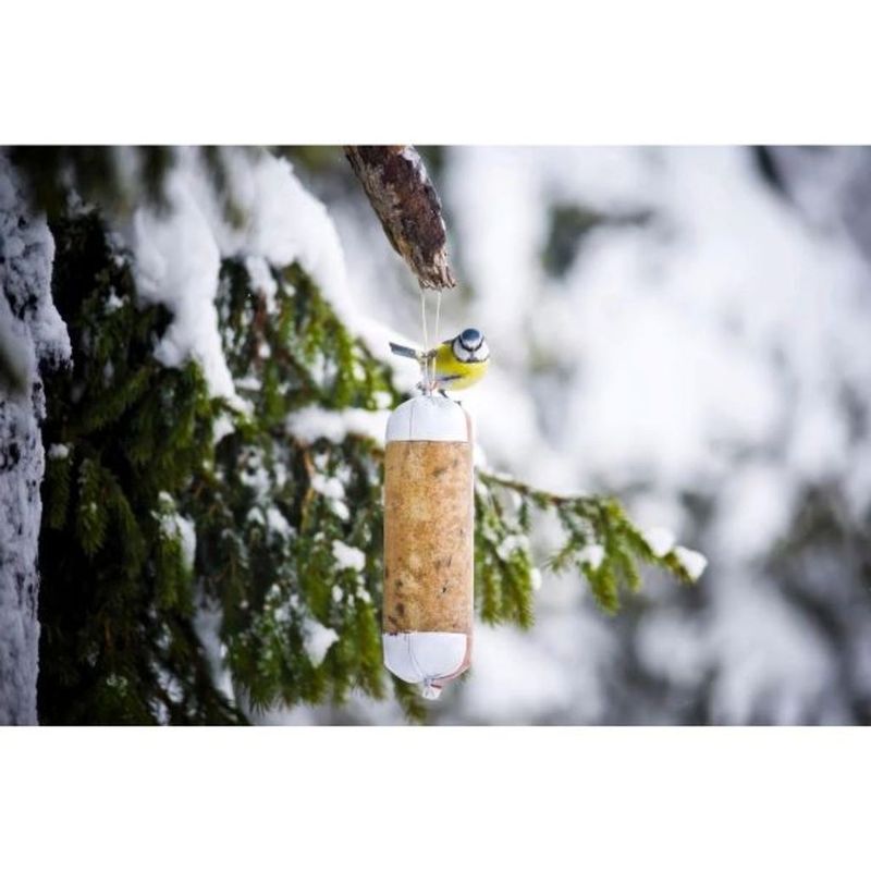 Fågelmat Leo & Wolf Talgkorv Insekter 600g