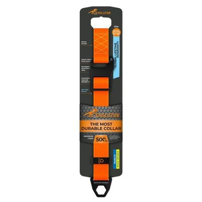 Evolutor Hundhalsband One Size 25mm 25-70cm (Orange)