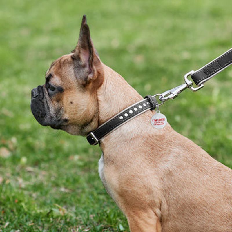 WAUDOG Soft Läderhalsband med Metalldekor Smart-ID Bricka, Svart