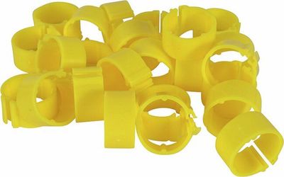 Fotringar för Duvor 8mm 100 Pack