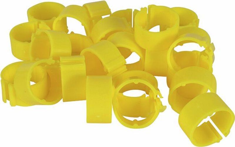 Fotringar för Duvor 8mm 100 Pack