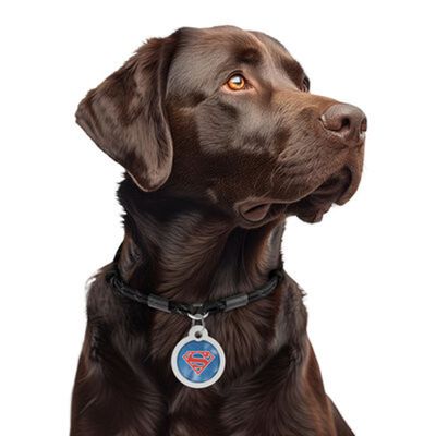 WAUDOG Smart ID Bricka för Hund & Katt Superman Retro Rund