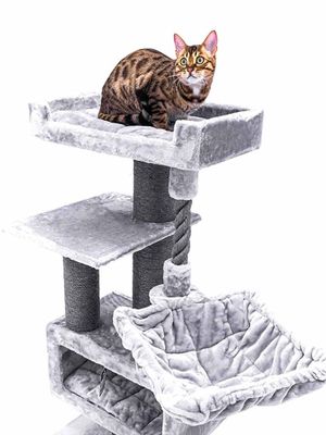 Klösträd Parklane 131