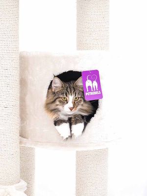 Klösträd Charlotte 180