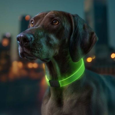 Waudog LED Lysande Hundhalsband, Justerbar längd
