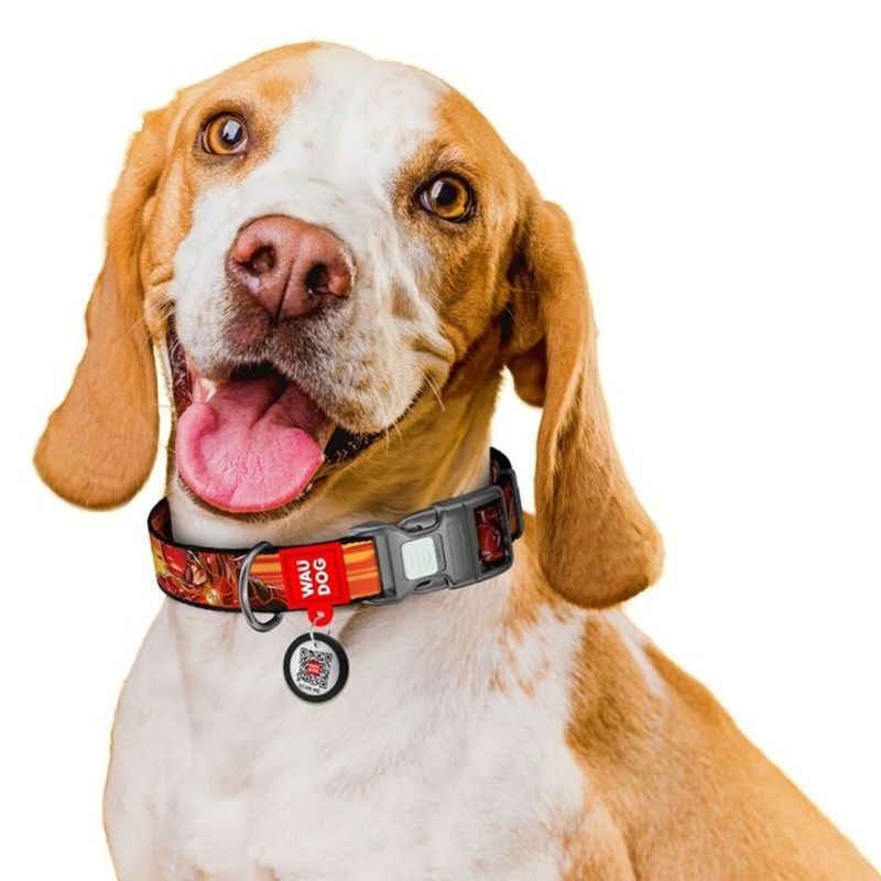 WAUDOG Hundhalsband Nylon Flash Speed