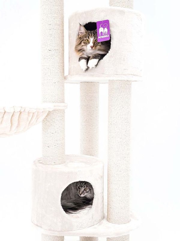 Klösträd Charlotte 180