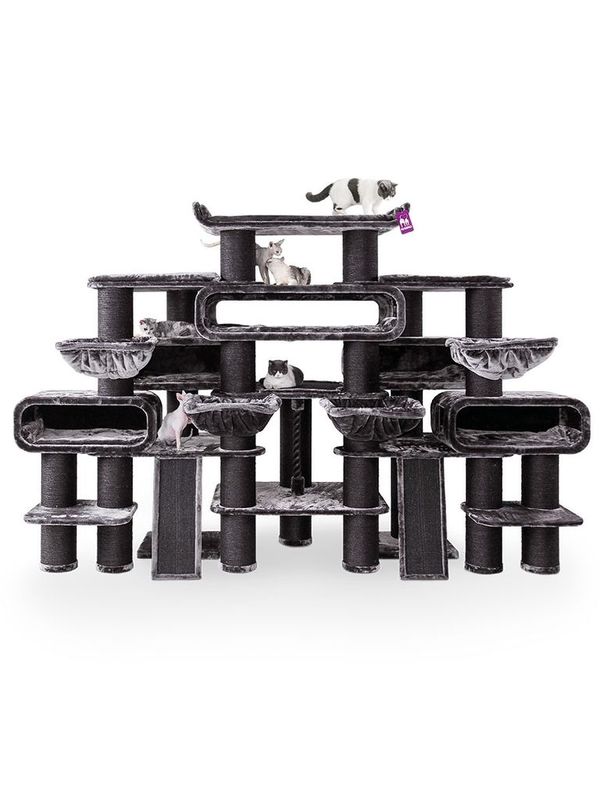 Klösträd Norwegian 200