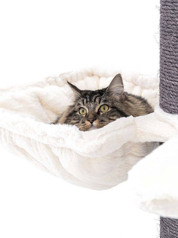 Klösträd Maine Coon 117 Off White