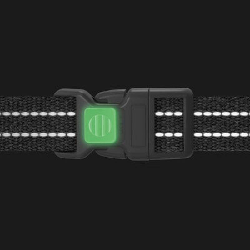 WAUDOG Re-Cotton H-Sele med Handtag Marinblå