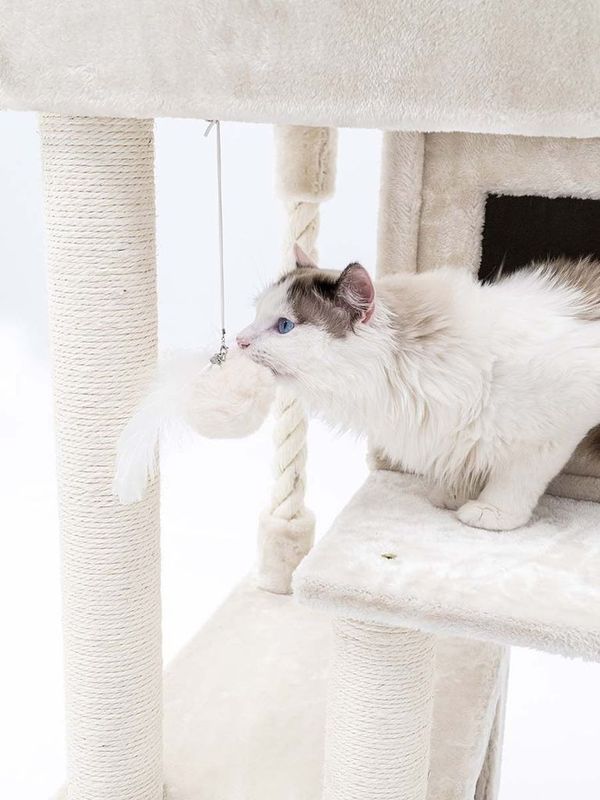 Funky Rebels Presentask 3X