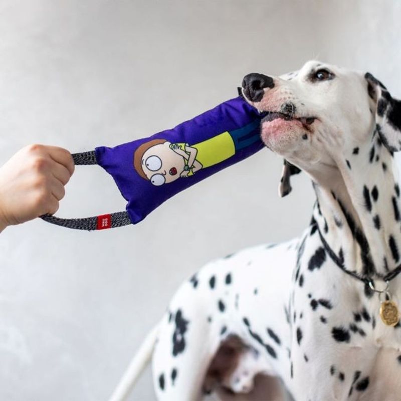 WAUDOG Hundleksak med Pip Rick and Morty Lila