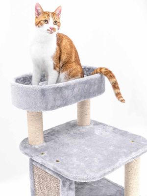 Klösträd Little Rock 99